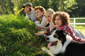 Szenenbild Hardy (Kristo Ferkic), Julian (Quirin Oettl), Anne (Neele Marie Nickel), George (Valeria Eisenbart) und Timmy observieren den Wanderzirkus © 2012 Constantin Film Verleih GmbH / Bernd Spauke