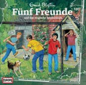 Cover Fünf Freunde und das magische Spinnennetz