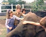 Screenshot (die Fnf Freunde helfen Nobby, den Elefanten zu waschen)