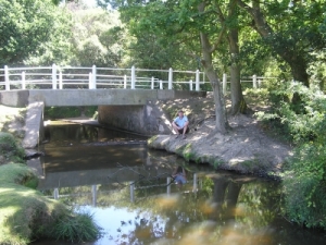 Foto Gatebridge, Nähe Blackfield