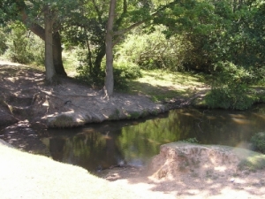 Foto Gatebridge, Nhe Blackfield