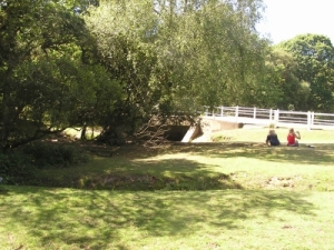 Foto Gatebridge, Nähe Blackfield