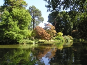 Foto Exbury Gardens