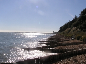 Foto Küse am Lepe House