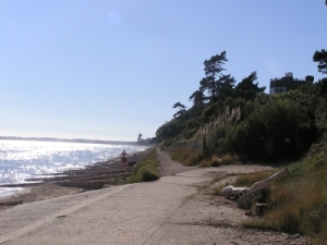 Foto Küse am Lepe House