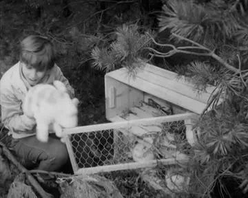Film-Bildschirmfoto