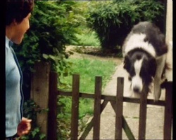 screenshot: Timmy jumps over the garden door