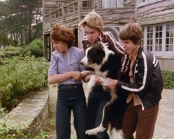 screenshot: George, Julian und Dick tragen Timmy in Sichherheit