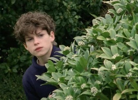 screenshot: George behind a bush