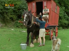 screenshot: George nimmt dem Pony das Zaumzeug ab