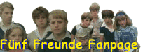 Banner der 'Fünf Freunde Fanpage'